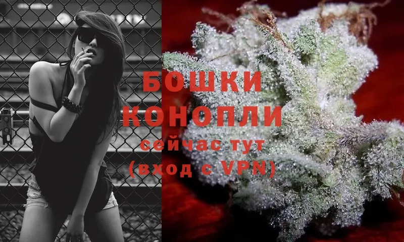 хочу наркоту  Шадринск  Бошки Шишки THC 21% 